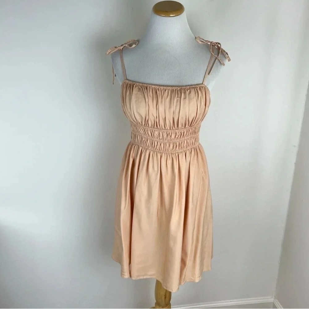 Fame and Partners Blush Mini Dress